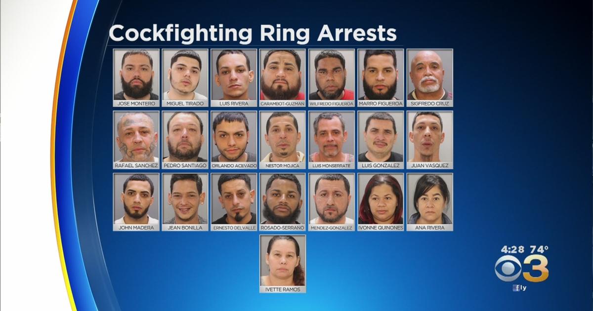 22 Suspects Charged In Port Richmond Cockfighting Ring Bust Over Weekend Police Say Cbs 