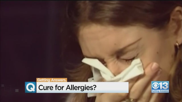 allergies-cure.jpg 