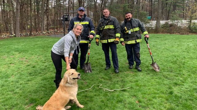 hanover dog happy rescue 