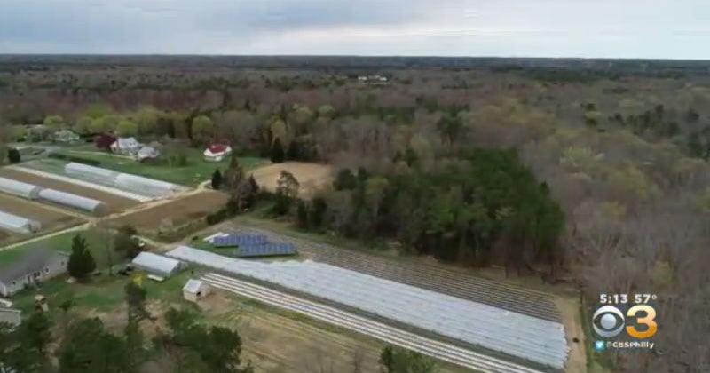 Local Farmers Using Certified Organic Farming Practices To Ensure