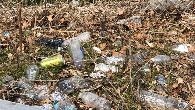 trash.jpg 