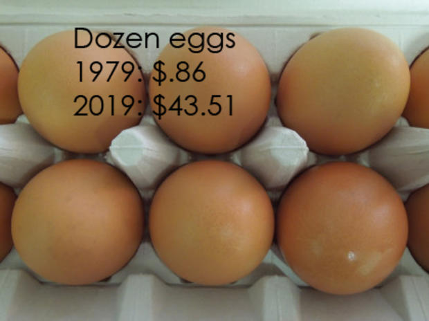 1 Dozen Eggs 