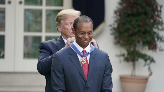 Donald Trump, Tiger Woods 