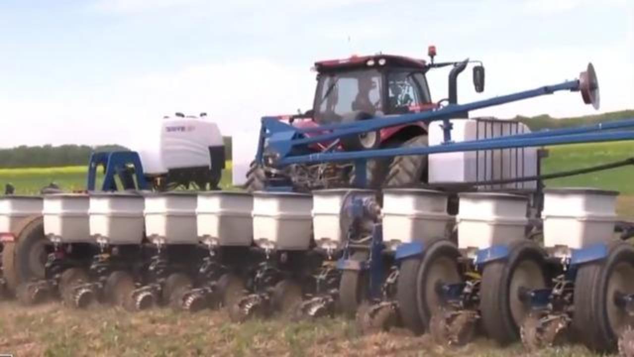 Experts say climate change threatens America's food supply. Can farmers in  the Mississippi Delta save it? - CBS News