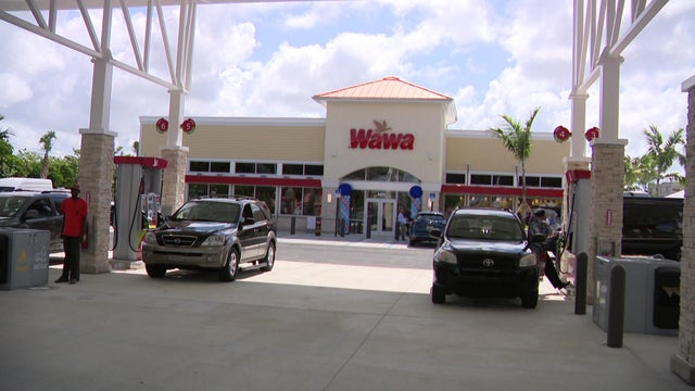 wawa.jpg 