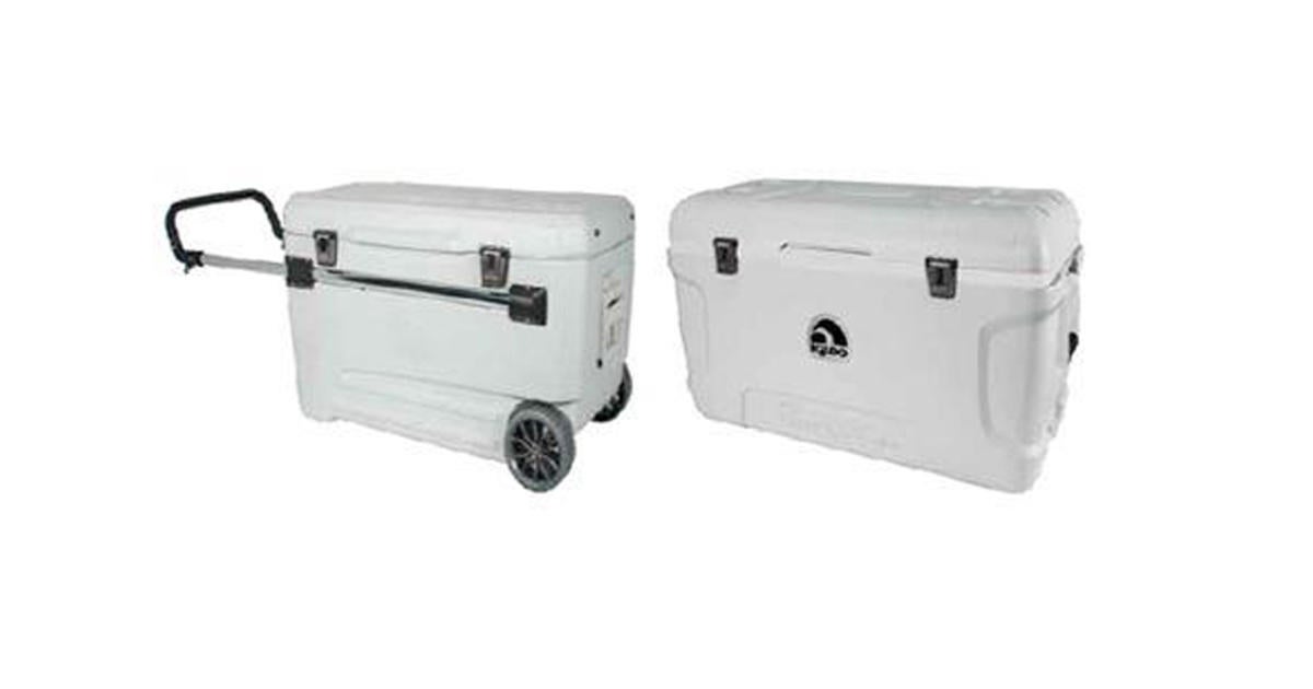 60K Igloo Coolers Recalled Over Concerns They Can Trap, Suffocate Kids