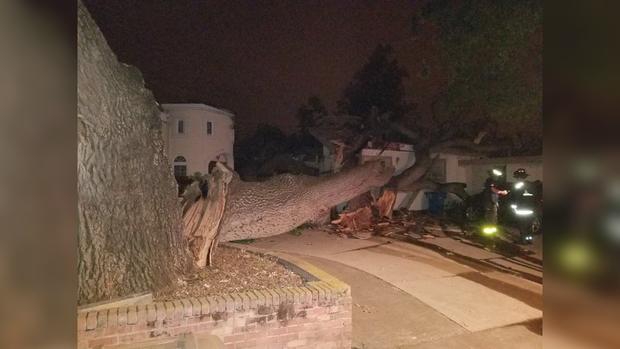 Tree Falls On, Damages Home In Cupertino 