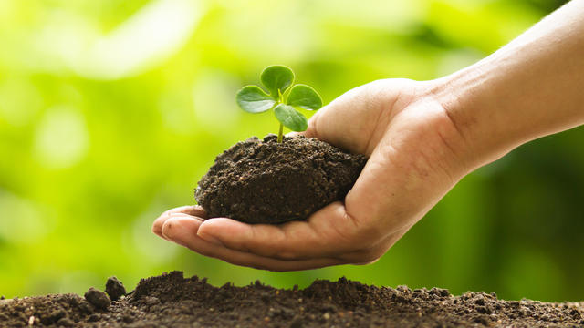 Hand holding small plant with soil with green nature background 