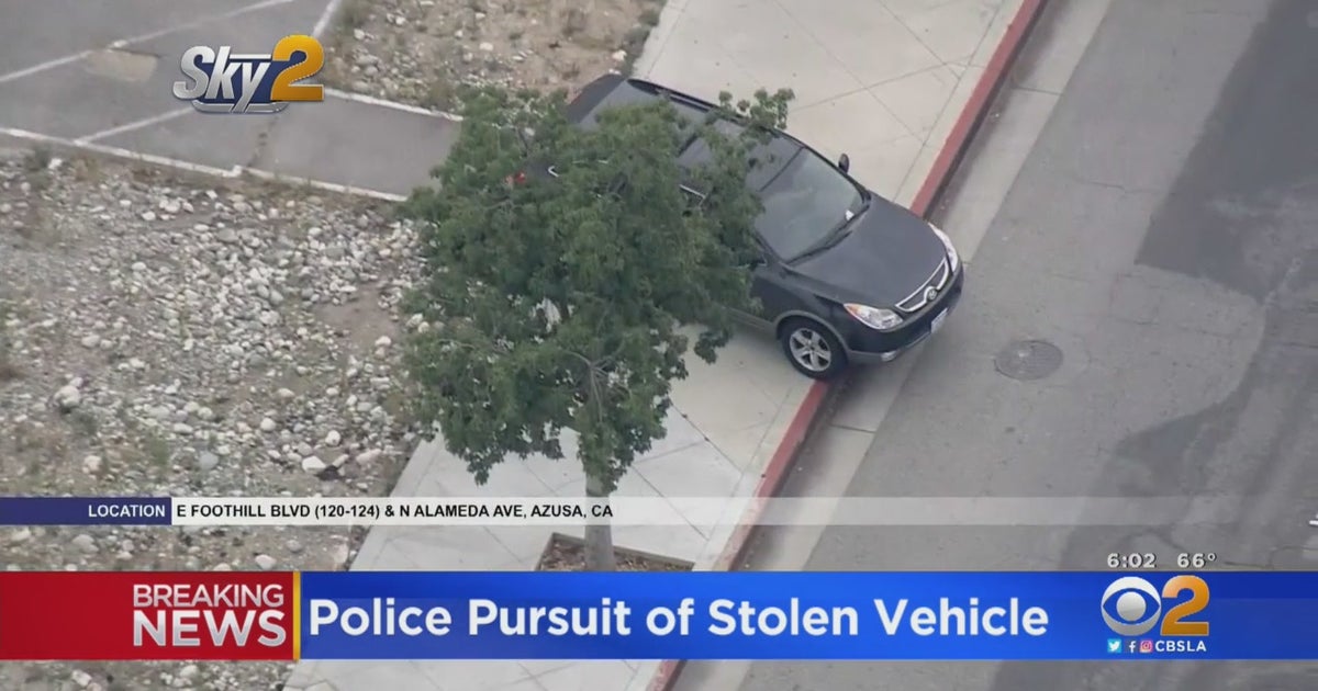 Stolen Vehicle Suspect Leads Police On Chase Along Sidewalks, Through ...