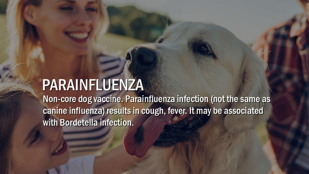 6-Parainfluenza 