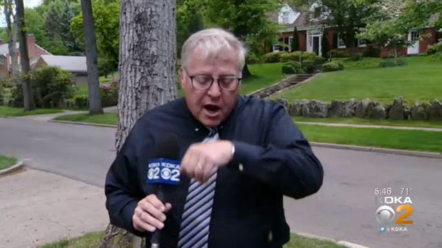 shumwayeatingcicada.jpg 