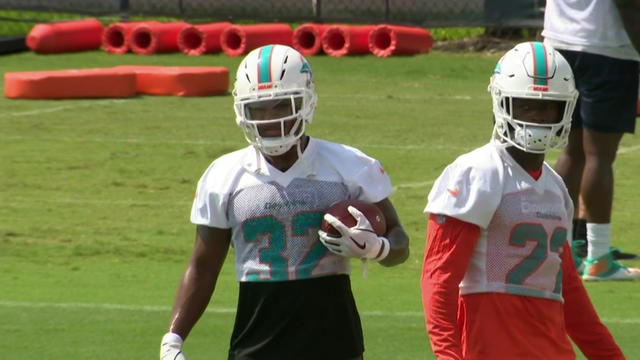 dolphins-ota-day-one_1-1.jpg 