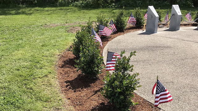 dot-vietnam-memorial-flags-bushes-replaces-credit-40dotratdave-2.jpg 