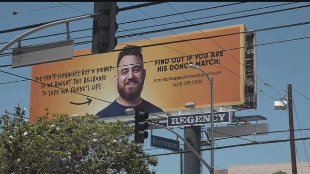 kidney-billboard.jpg 