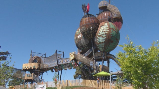 ADVENTURE FOREST 5PKG_frame_1938 