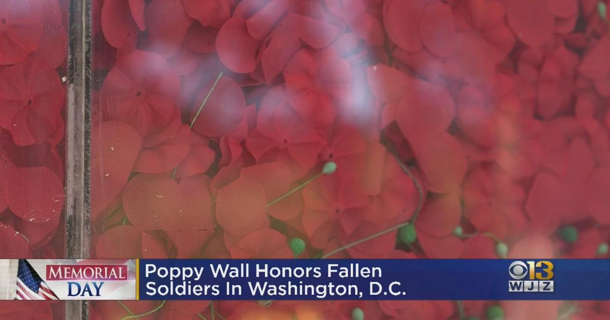 A Wall Of Poppies On The National Mall Honors Fallen Soldiers : NPR