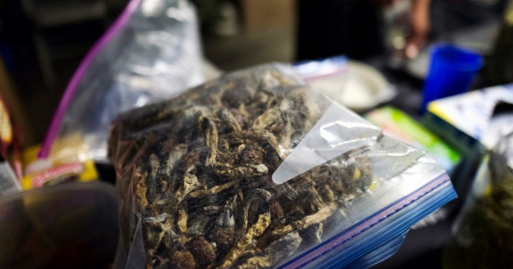 Oakland Votes To Decriminalize Magic Mushrooms CBS San Francisco