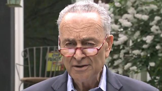 cbsn-fusion-chuck-schumer-says-us-needs-to-get-johnny-on-the-pony-to-stop-russian-interference-in-elections-thumbnail.jpg 