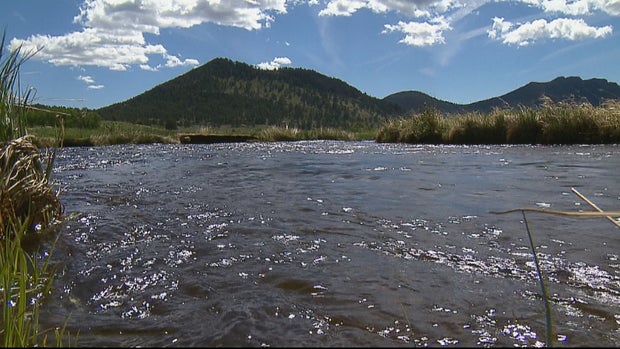 FREE FISHING WEEKEND_frame_120