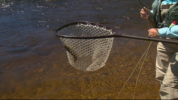 FREE FISHING WEEKEND_frame_1440