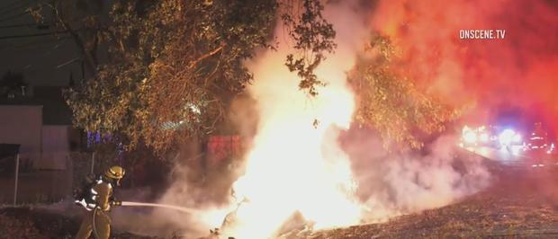 Driver Killed After Out-Of-Control Car Slams Into Tree, Erupts In Flames In Artesia 