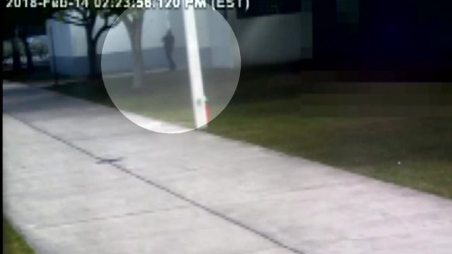 Scot Peterson Surveillance Video MSD ShootingF_1