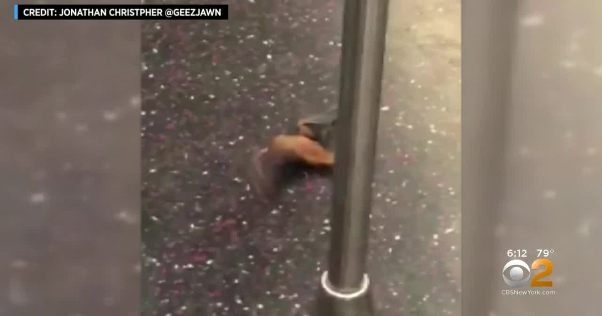 Bat Spooks Straphangers On Brooklyn-Bound F Train - CBS New York
