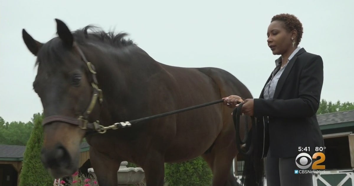 Equine Encouragement Horses Helping Veterans Deal With PTSD In New