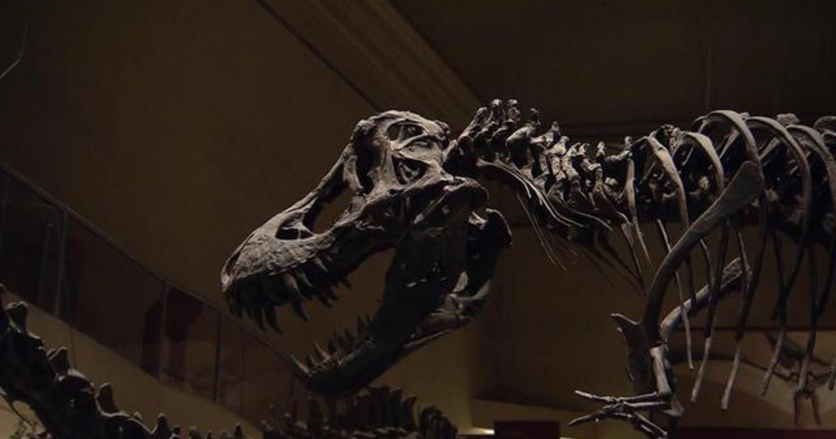 Smithsonian Museum of Natural History debuts long-awaited dinosaur ...