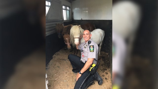 allegheny police trailer 2 edit