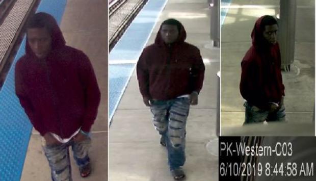 Pink Line Sexual Abuse Suspect 