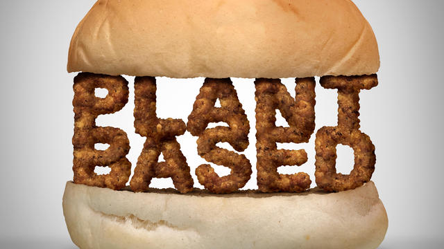 Plant Based Burger 