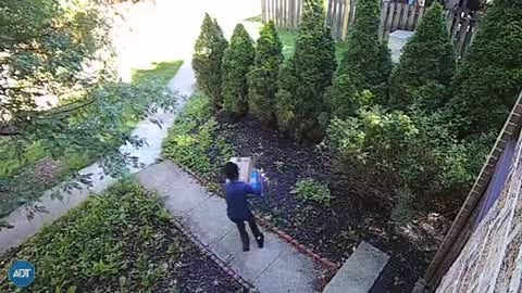 0612youthporchthief.jpg 