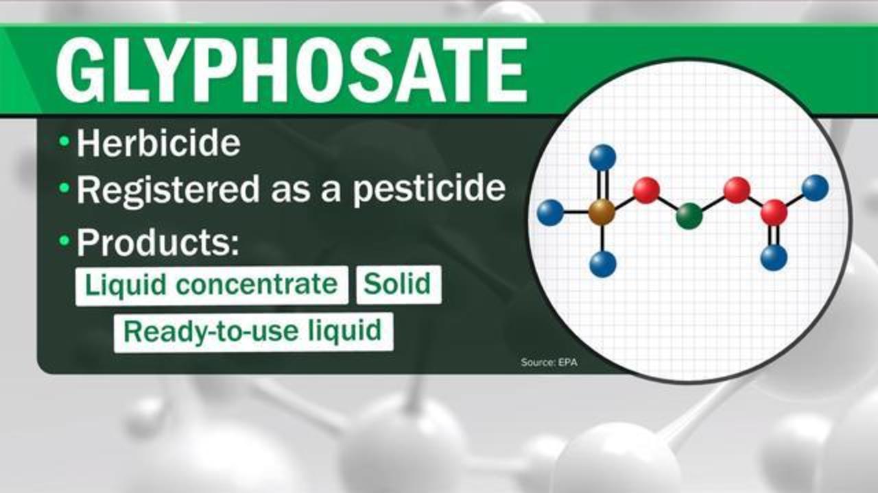 EPA statement on glyphosate: no findings of cancer caused by Roundup