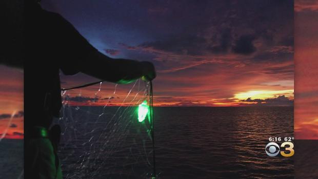 fishing nets with lights 