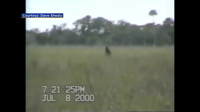 skunk-ape-new-pkg_1.jpg 