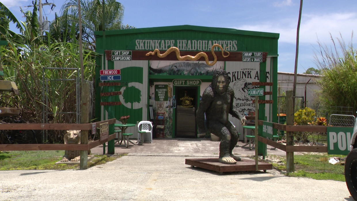 'In The Everglades, Anything Is Possible' Legend Of Florida's Skunk