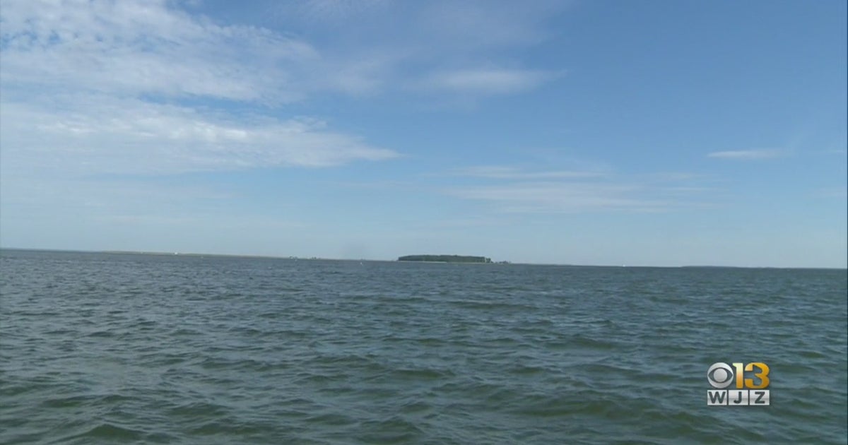 Scientists Predicting Record Dead Zone In Chesapeake Bay - CBS Baltimore