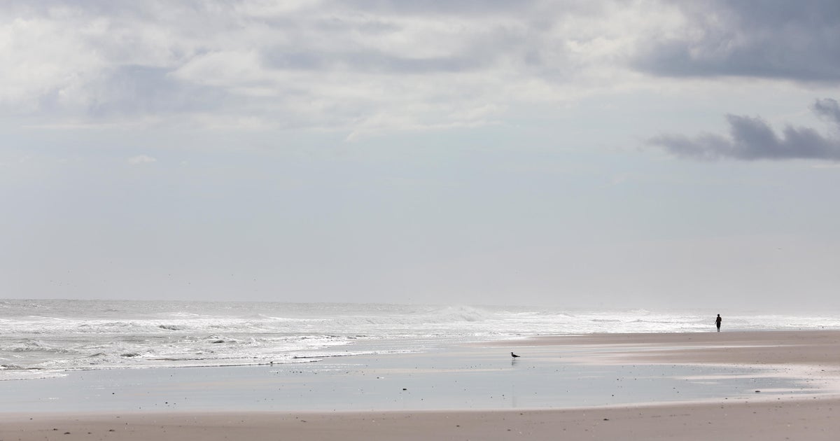 North Carolina shark attack Shark bites 8yearold boy in third North