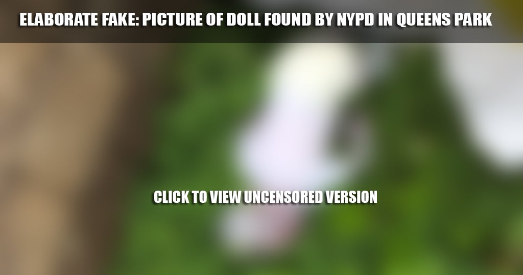 elaborate-prank-baby-found-dead-near-park-in-queens-is-actually-doll