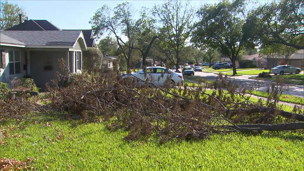 Tree damage after Dallas storm (CBS 11) 