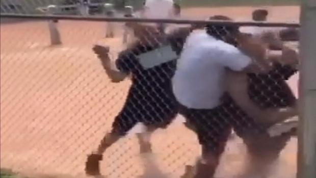 baseball brawl (1) 