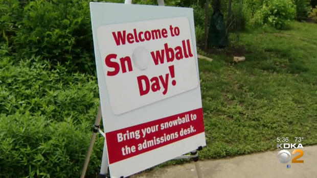 snowball day sign 