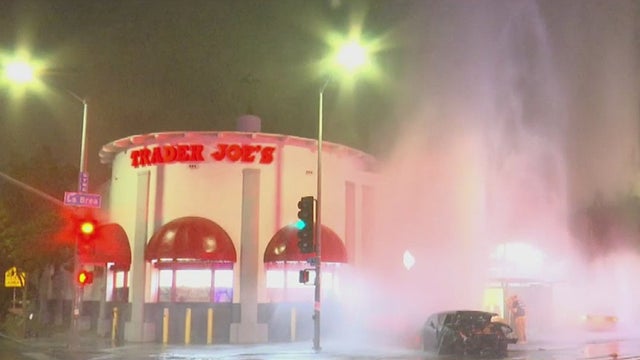 trader-joes-hydrant-crash.jpg 