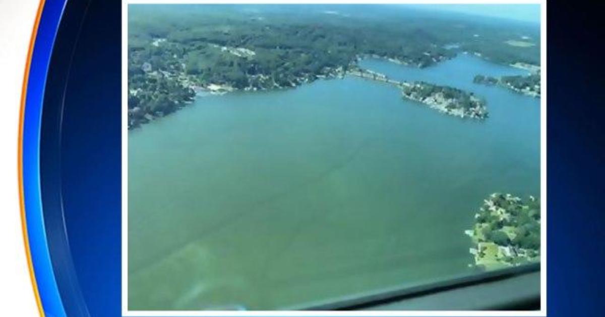 Lake Hopatcong New Jersey's largest lake has cyanobacteria, a harmful