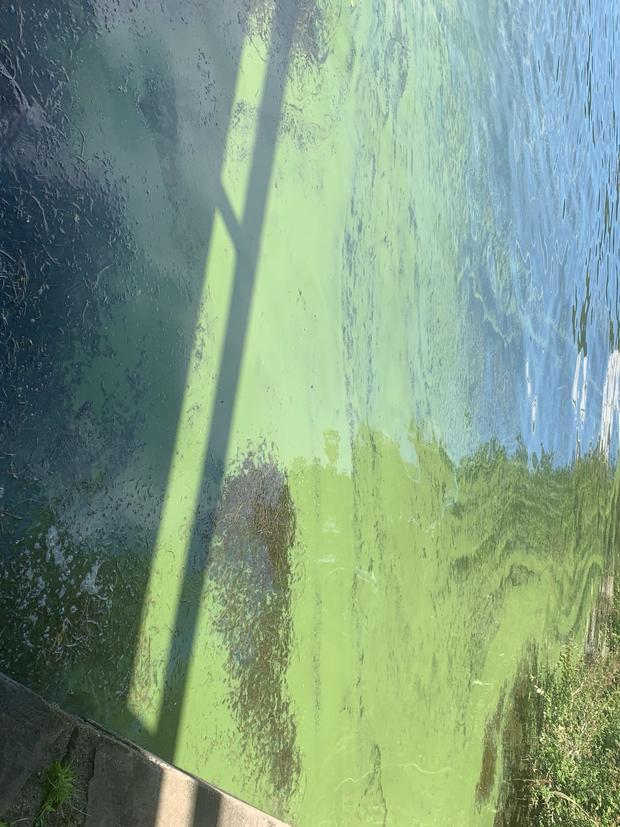 Lake Hopatcong Algae Bloom 