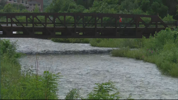 golden tubers rescued - Ramirez raw_frame_44907