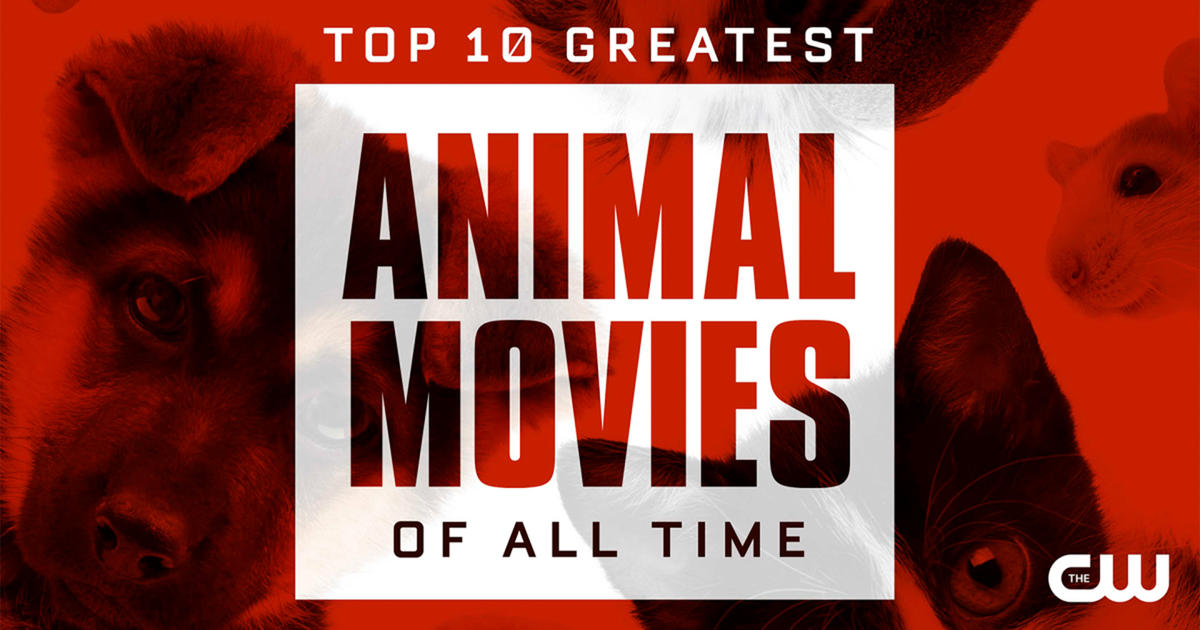 "The Top 10 Greatest Animal Movies of All Time" CW Seattle