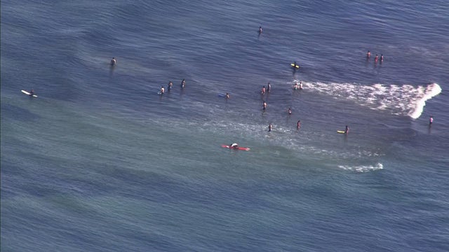 wellfleet beach water 