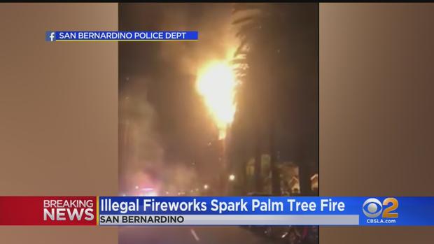 Palm Tree Fire In San Bernardio 